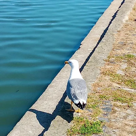 Appartement apartament eforie nord Eforie Nord